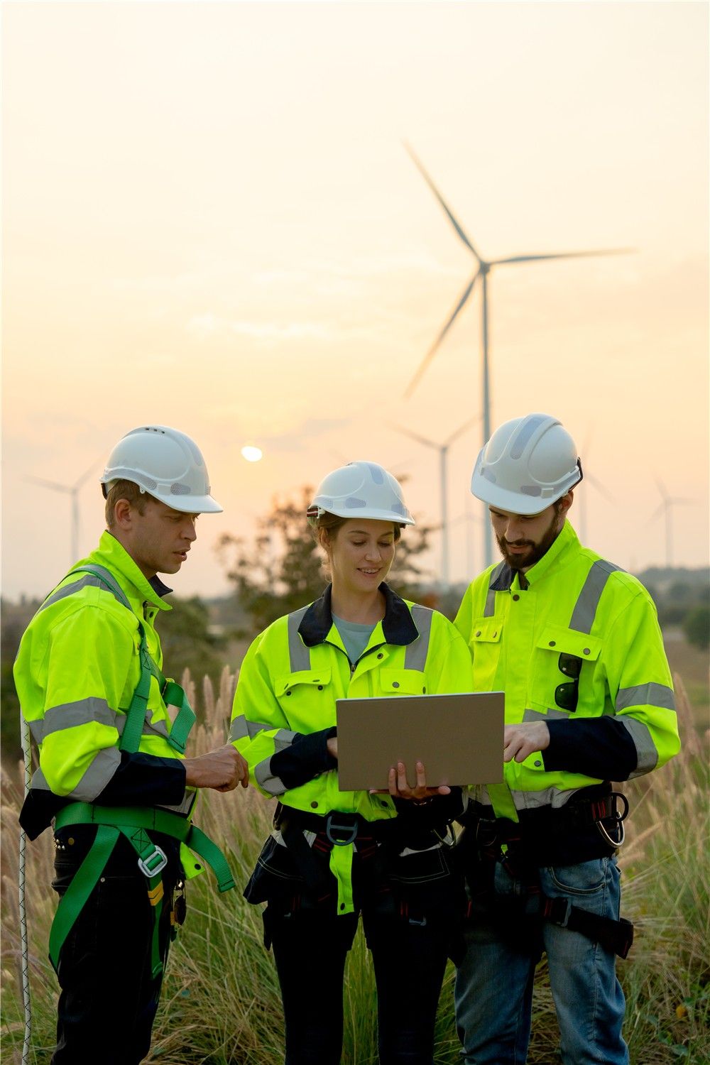 Sustainability In Business
